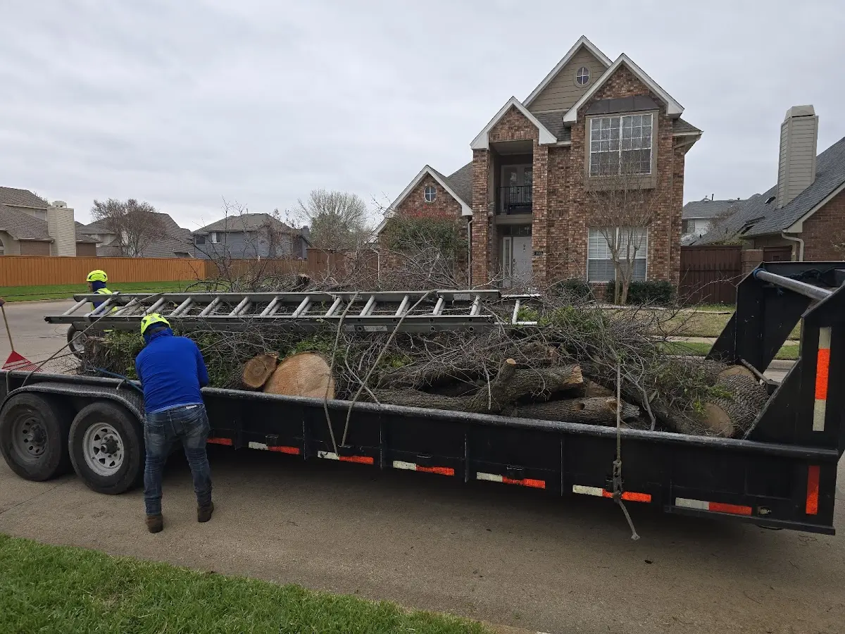 Expert Crown Reduction with proper safety equipment in Crystal Lake